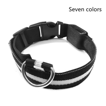 ED Flashing Pet Collar