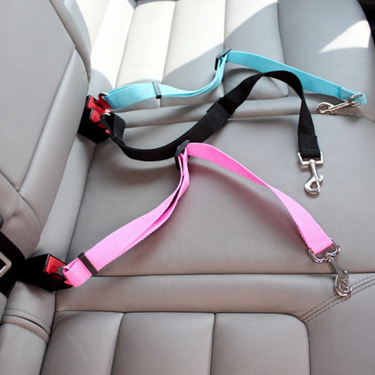 Travel-Safe Pet Buckle