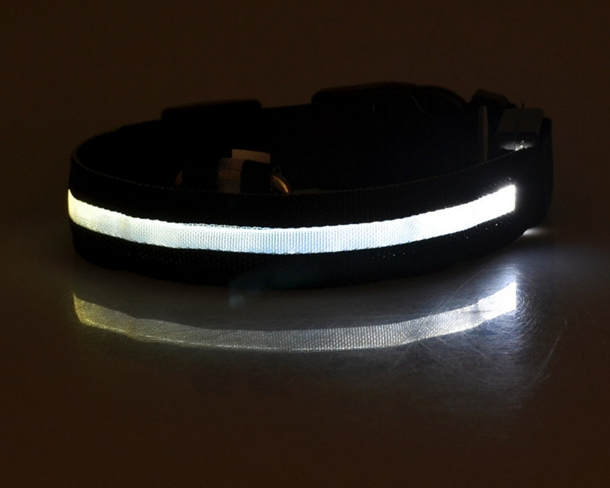 ED Flashing Pet Collar
