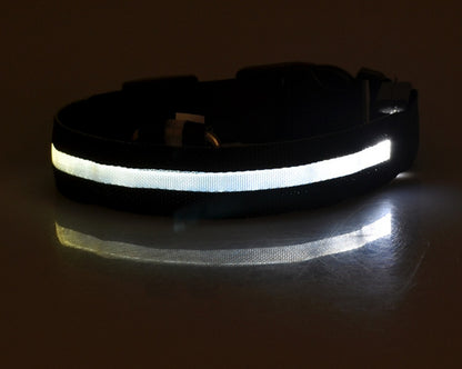 ED Flashing Pet Collar