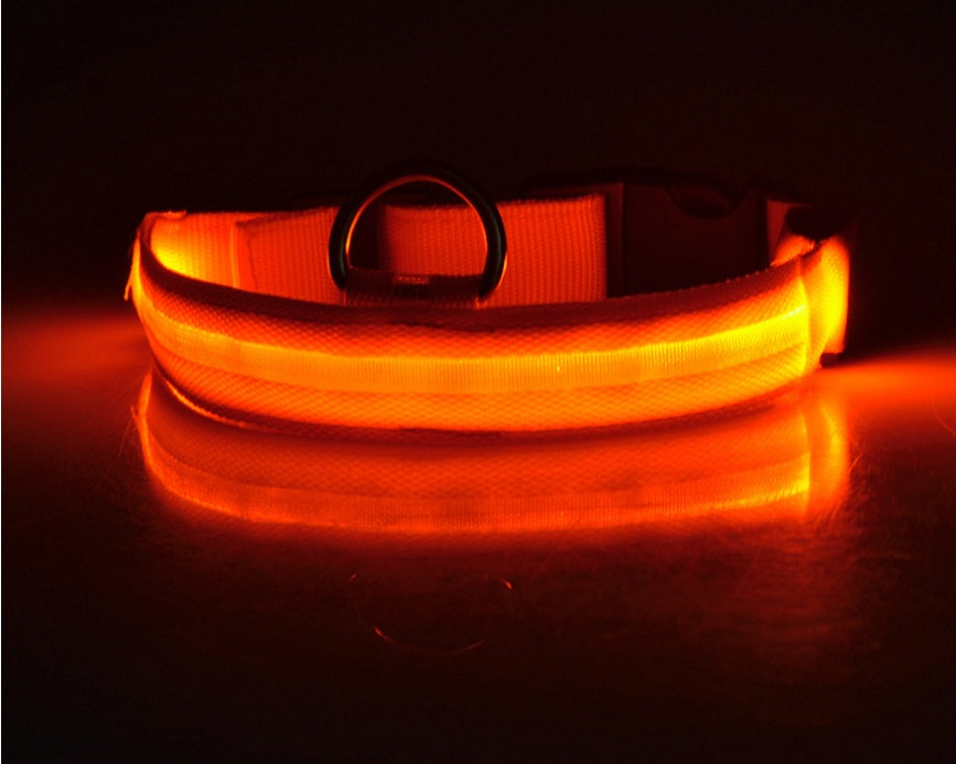 ED Flashing Pet Collar