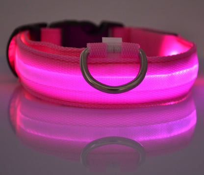 ED Flashing Pet Collar