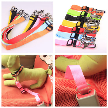 Polyester Dog Leash Strap