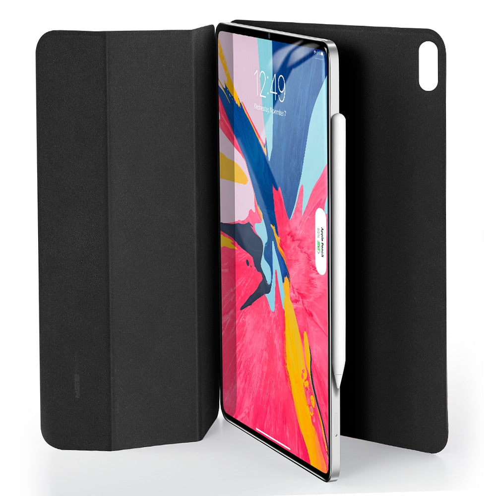 iPad Pro 11 Slim Magnet Cover