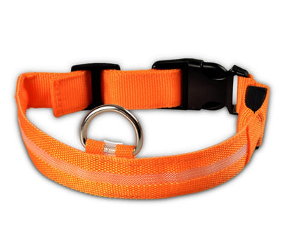 ED Flashing Pet Collar