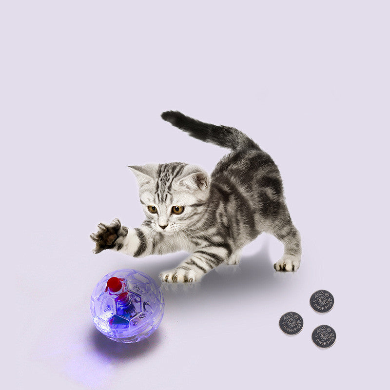 Glowing Transparent Pet Toy Ball