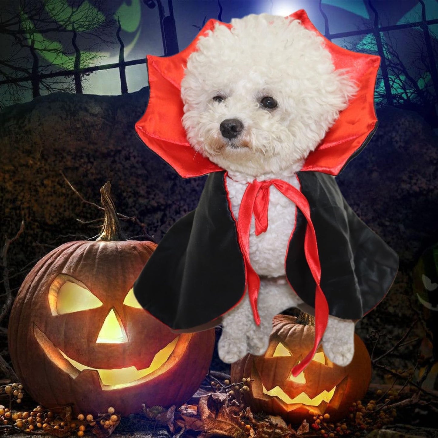 Cute Halloween Vampire Pet Costume