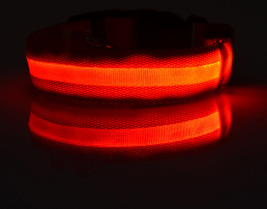 ED Flashing Pet Collar