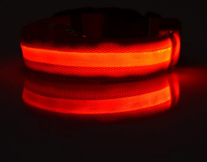 ED Flashing Pet Collar