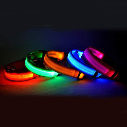 ED Flashing Pet Collar