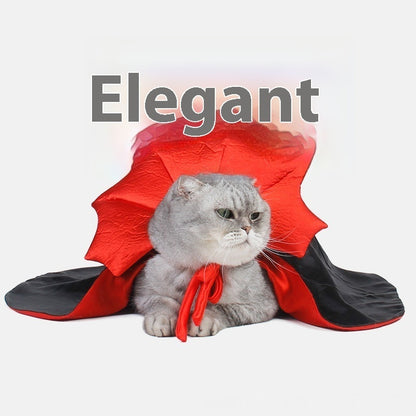 Cute Halloween Vampire Pet Costume