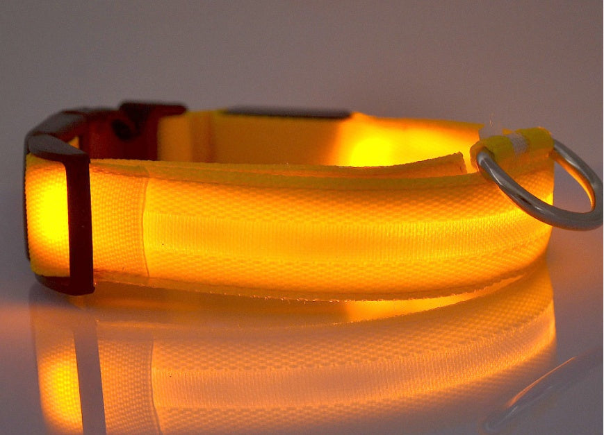 ED Flashing Pet Collar