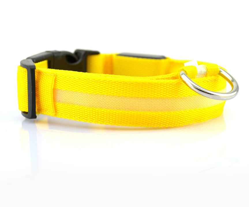 ED Flashing Pet Collar