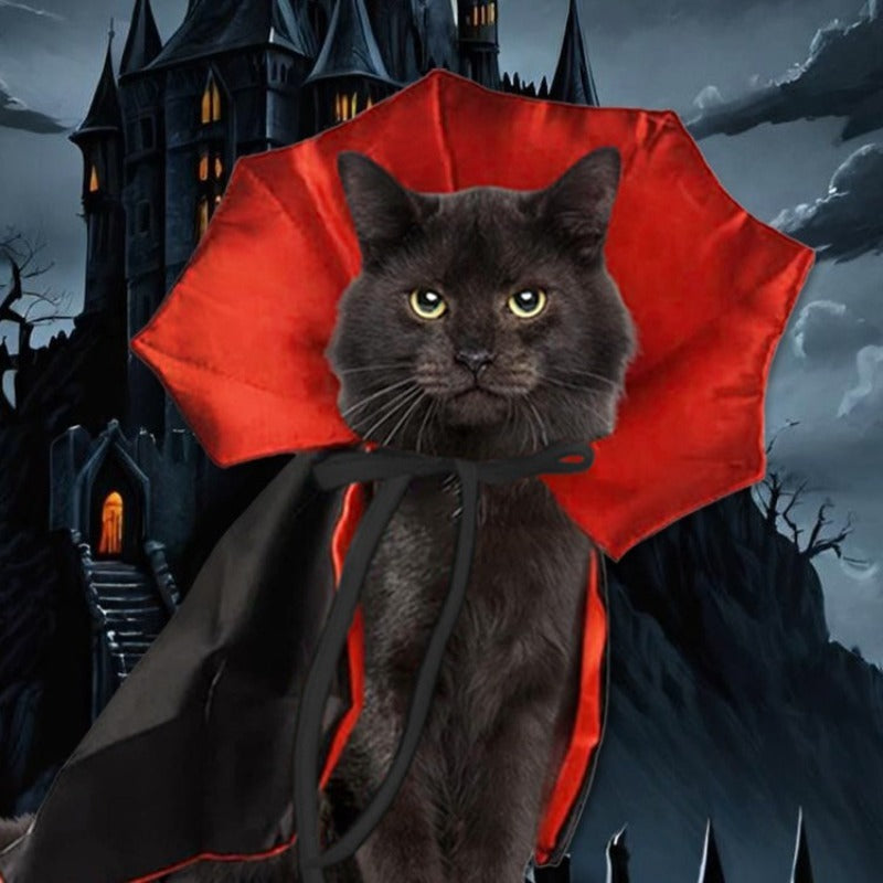 Cute Halloween Vampire Pet Costume