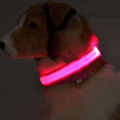 ED Flashing Pet Collar
