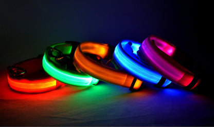 ED Flashing Pet Collar