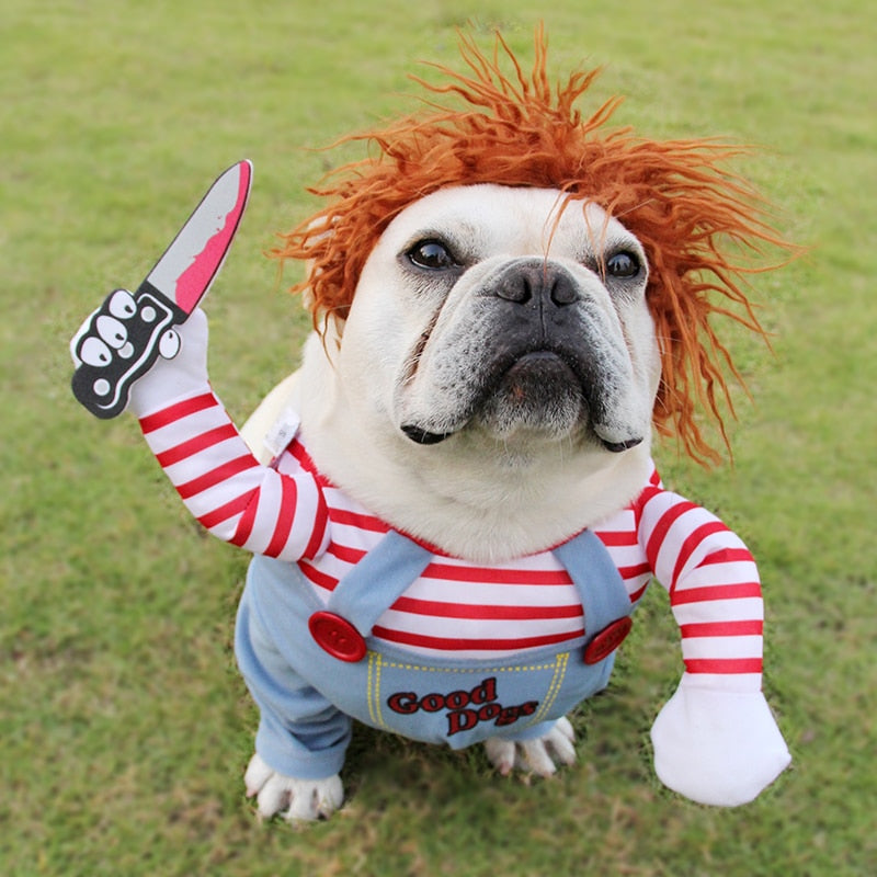 Halloween Scary Dog Costume