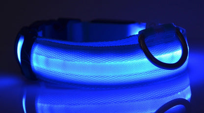 ED Flashing Pet Collar