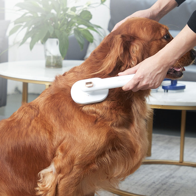 Self-Cleaning Pet Hair Removal Brush