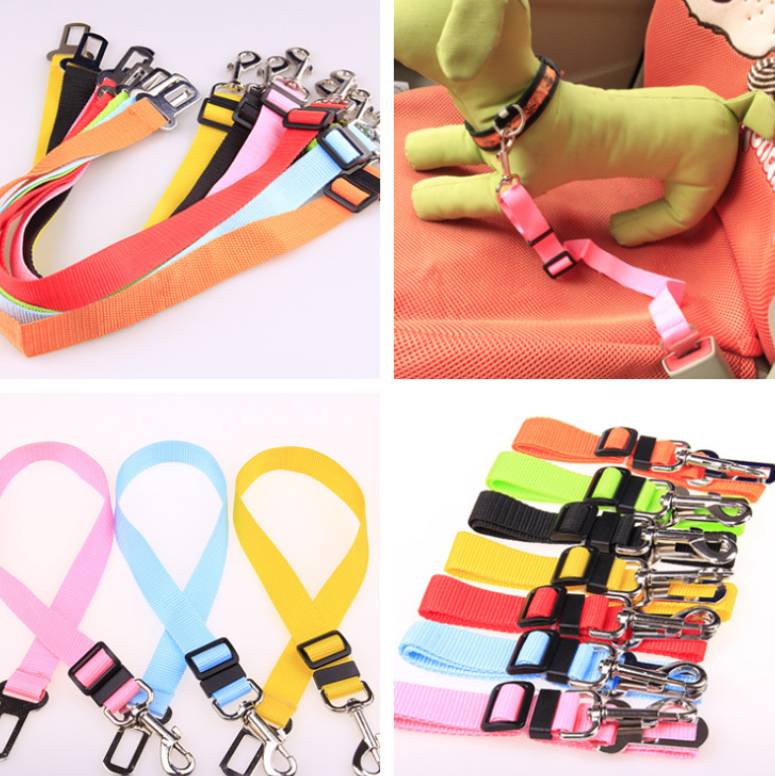 Polyester Dog Leash Strap