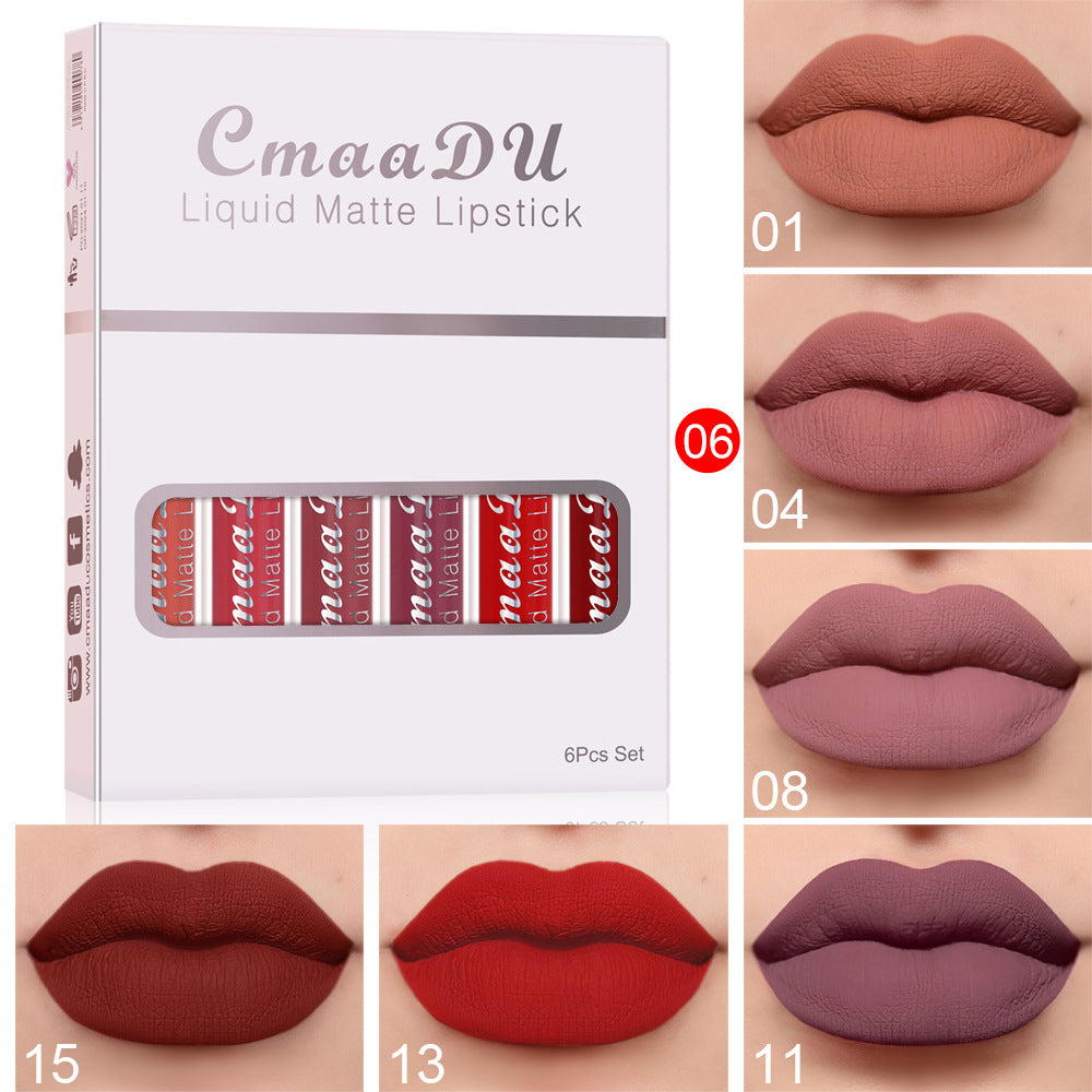 6-Piece Matte Non-Stick Lip Gloss Set