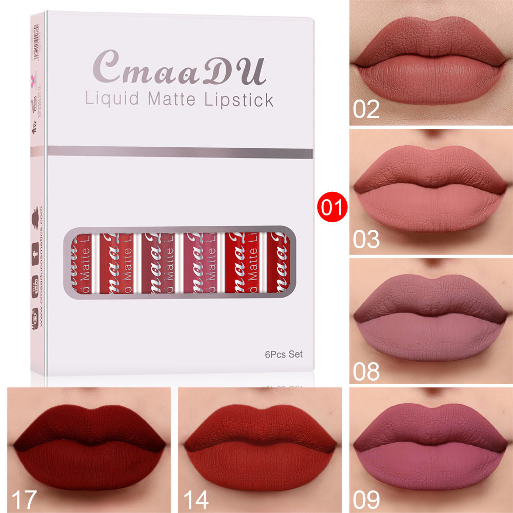 6-Piece Matte Non-Stick Lip Gloss Set