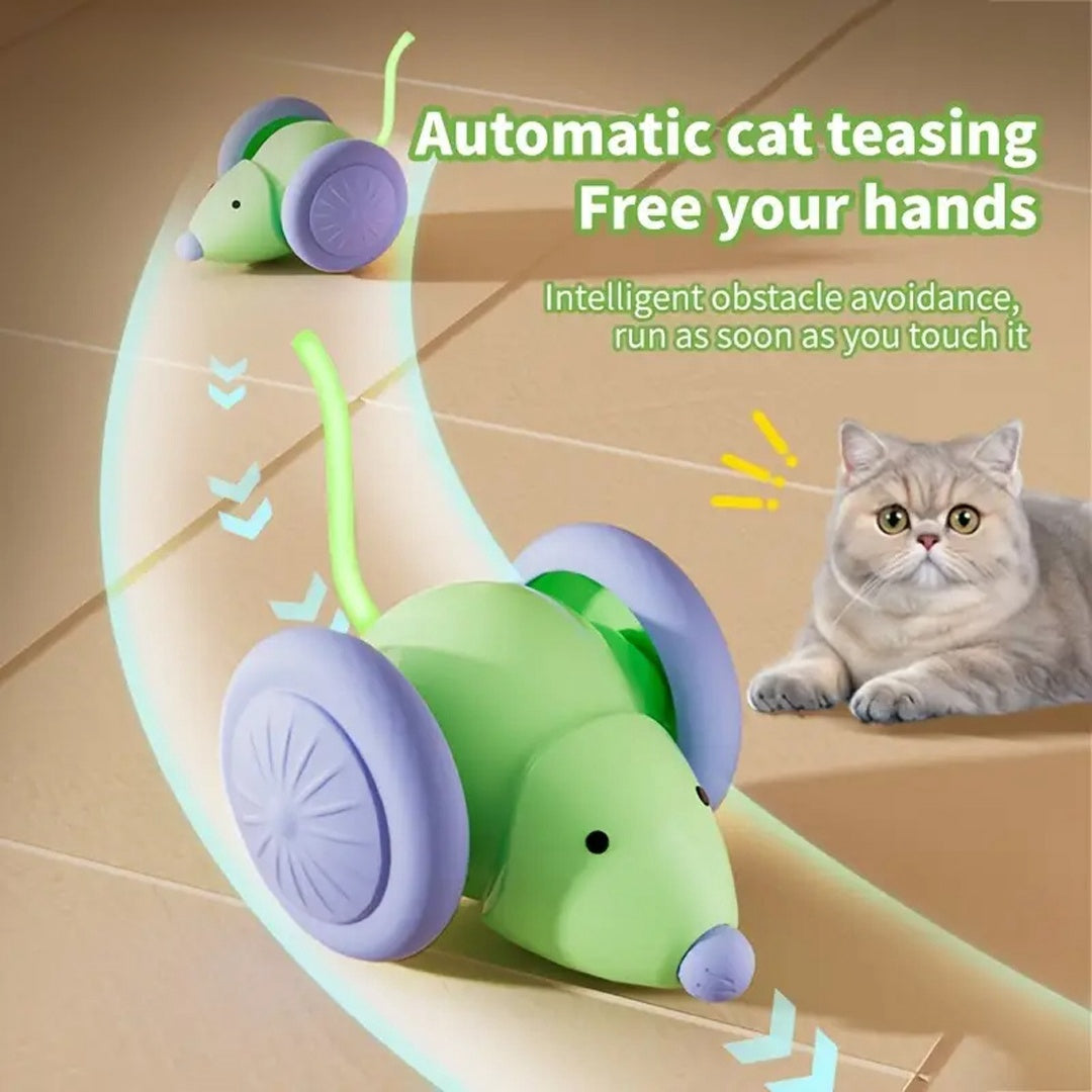 Electric Interactive Cat Mouse Toy Car